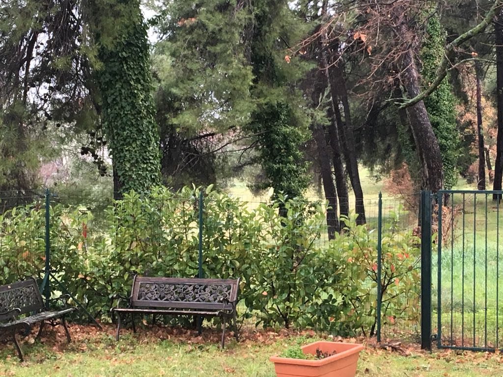 Raffaele Paolucci's House,Orsogna. (1).JPG